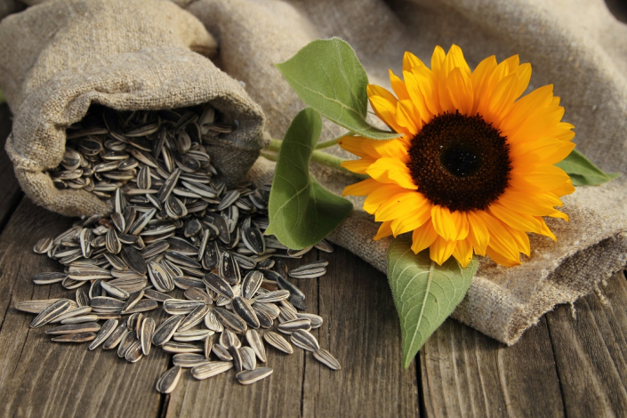 Sonnenblumenkerne